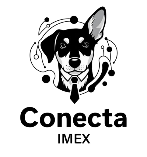 Conecta Imex