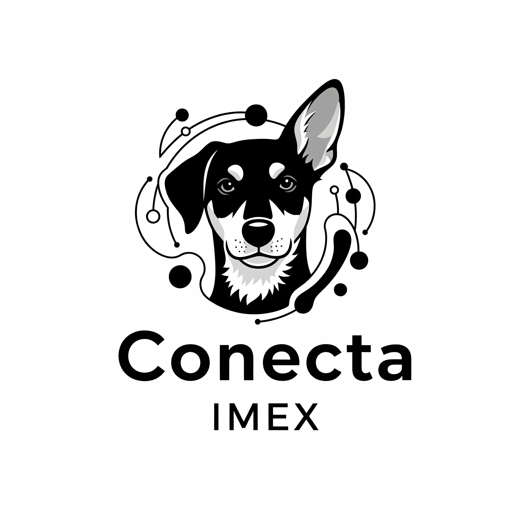 Conecta Imex